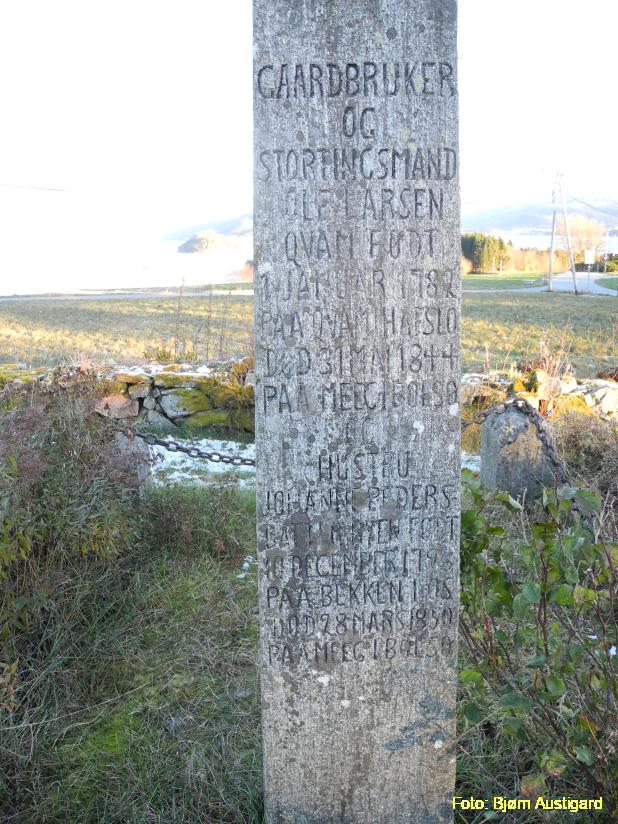Qvam-steinen på Bolsøya (7).JPG